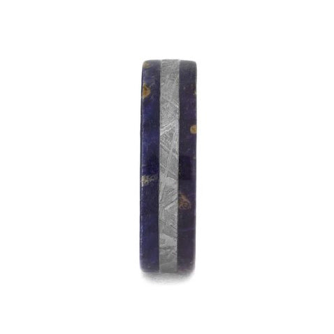 Gibeon Meteorite With Blue and Purple Elder Burl Wood Titanium Ring